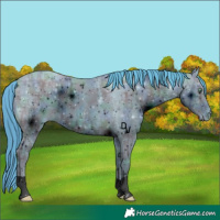 Horse Color:ERROR: UNKNOWN ANOMALY