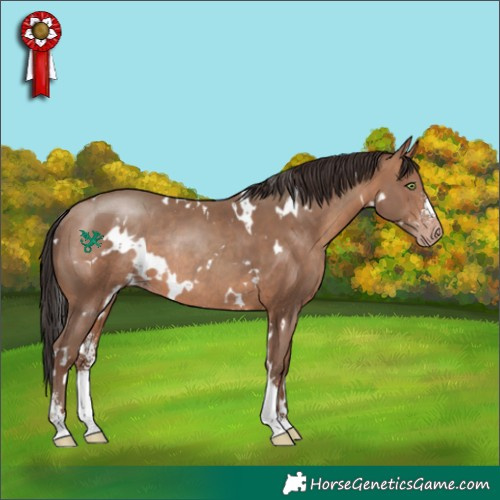 Horse Color:White Spotted Sable Champagne Sabino Rabicano 
