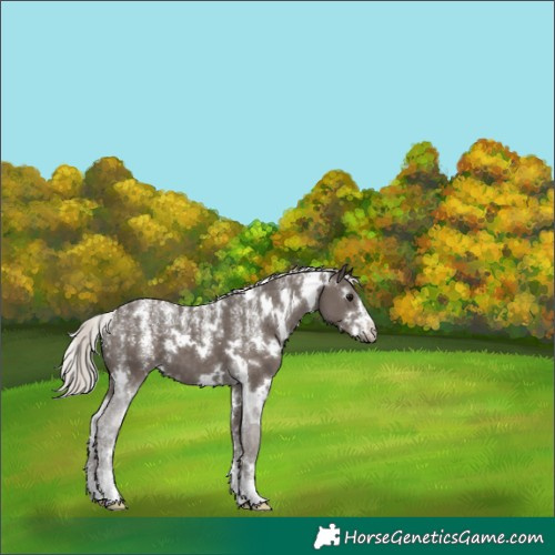 Horse Color:Powder White White Spotted Silver Black 