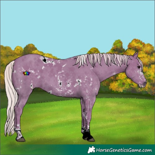 Horse Color:Watercolor White Spotted Silver Smoky Black Sabino 