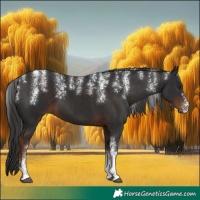 Horse Color:Powder White Liver Chestnut