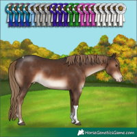 Horse Color:Liver Chestnut Tobiano Varnish Rabicano