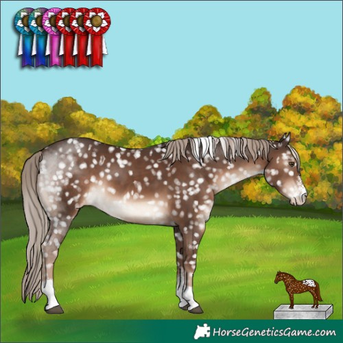 Horse Color:Liver Chestnut Sabino Tobiano Snowflake Varnish Rabicano 