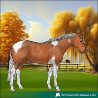 Horse Color:Silver Bay Tobiano