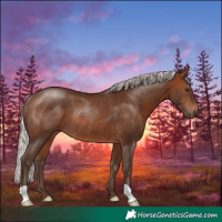 Horse Color:Silver Brown Rabicano 