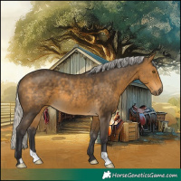 Horse Color:Silver Buckskin 