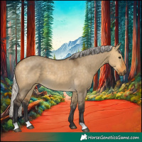 Horse Color:Silver Buckskin Dun