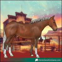 Horse Color:Silver Brown 