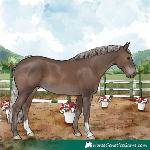 Horse Color:Silver Black 