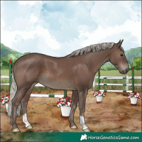 Horse Color:Silver Black 