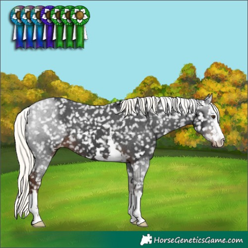 Horse Color:Liver Chestnut Mushroom Snowflake Varnish 