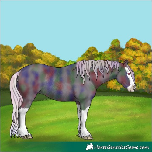 Horse Color:Nacre Silver Black Chinchilla Splash Rabicano 