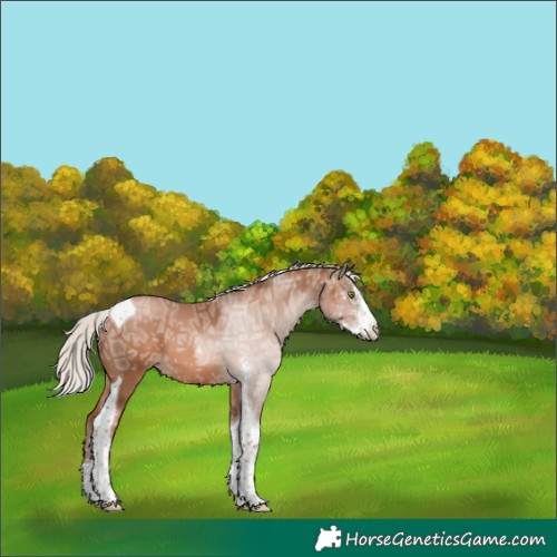 Horse Color:Silver Brown Ice Pearl Sabino Tobiano 