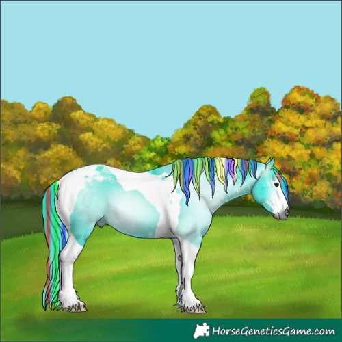 Horse Color:Gray Painted Watercolor White Spotted Black Tobiano 