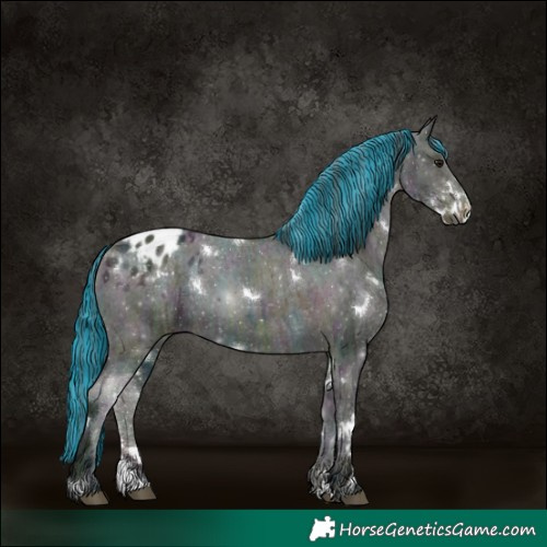 Horse Color:Painted White Spotted Midnight Brown Ice Dun Sabino Appaloosa 
