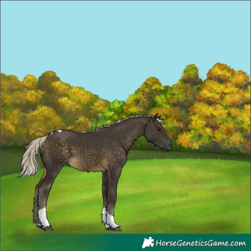 Horse Color:Silver Buckskin Tobiano 