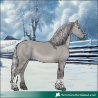 Horse Color:Platinum Silver Smoky Grullo Tobiano 