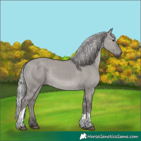 Horse Color:Platinum Silver Smoky Grullo Tobiano 