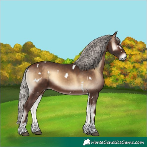 Horse Color:White Spotted Silver Brown Onyx Tobiano 
