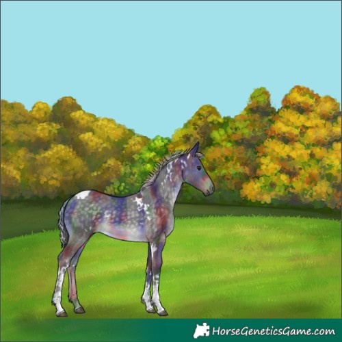 Horse Color:Platinum Nacre White Spotted Silver Buckskin Tobiano 