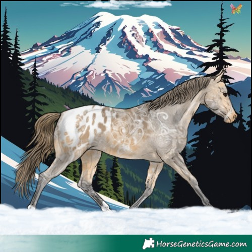 Horse Color:Buckskin Ice Blanket 