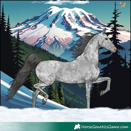 Horse Color:Black Ice Varnish 