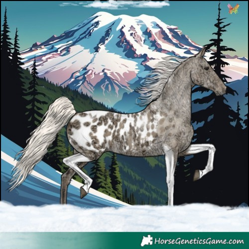 Horse Color:Silver Smoky Grullo Ice Tobiano Blanket 