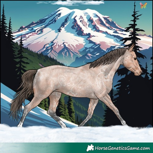 Horse Color:Bay Ice Roan Varnish Rabicano 