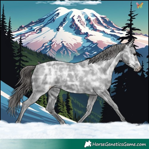 Horse Color:Black Ice Varnish 