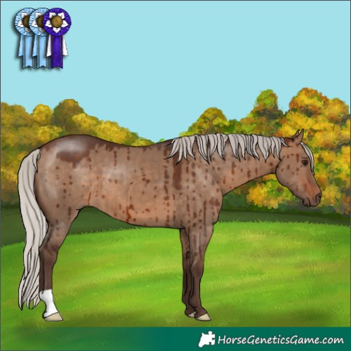Horse Color:Silver Brown Dun Brindle 