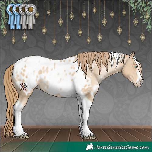 Horse Color:White Spotted Smoky Black Pearl Tobiano Frame Appaloosa 