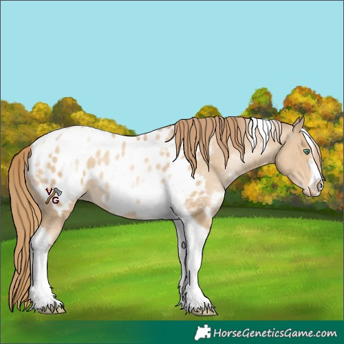 Horse Color:White Spotted Smoky Black Pearl Tobiano Frame Appaloosa 