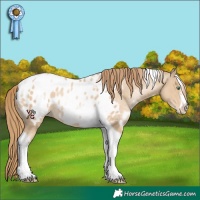 Horse Color:White Spotted Smoky Black Pearl Tobiano Frame Appaloosa 