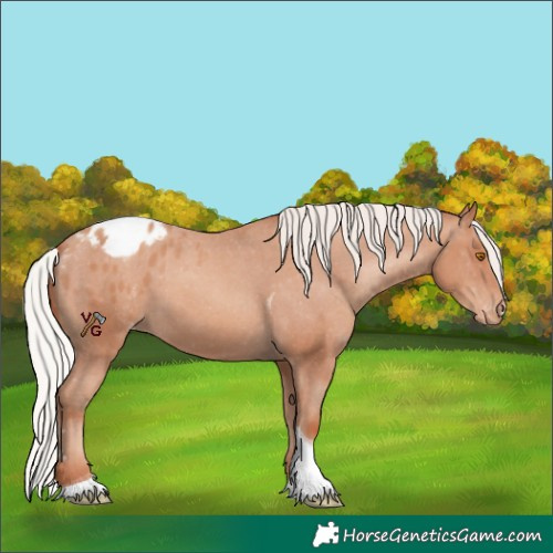 Horse Color:Silver Classic Champagne Sabino Tobiano Appaloosa 