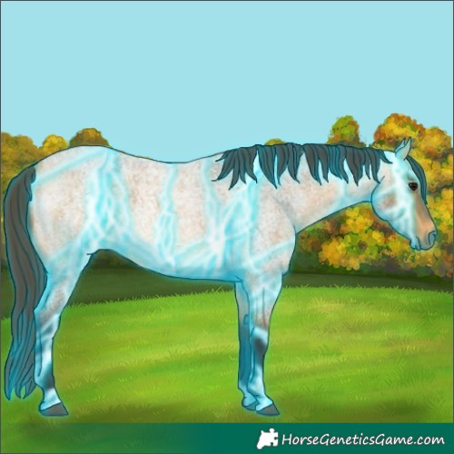 Horse Color:Thunderstruck Buckskin Roan