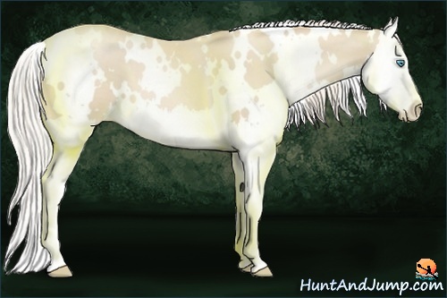 Horse Color:White Spotted Palomino Pearl Splash