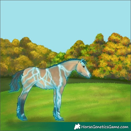 Horse Color:Thunderstruck Buckskin Dun 