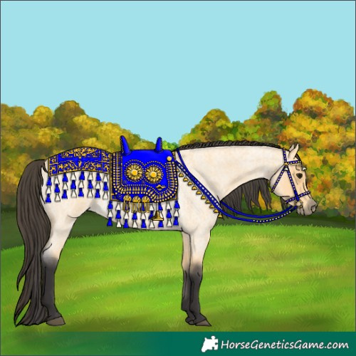Horse Color:Buckskin Roan