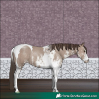 Horse Color:White Spotted Classic Champagne Tobiano
