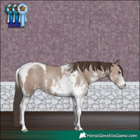 Horse Color:White Spotted Classic Champagne Tobiano 