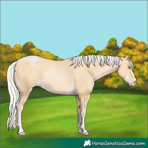 Horse Color:Silver Buckskin Pearl 
