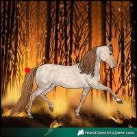 Horse Color:Red Dun Roan