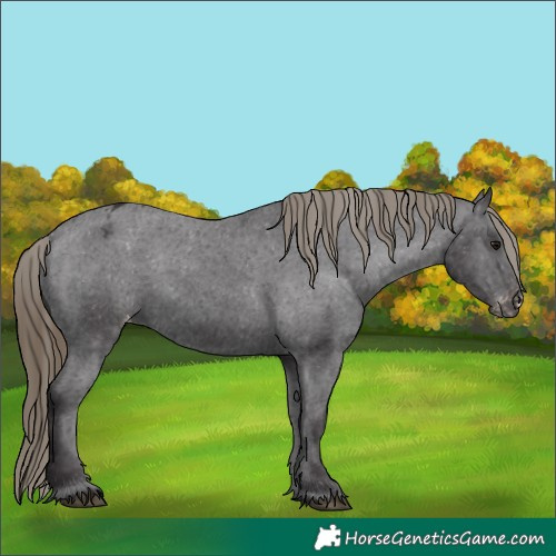 Horse Color:Smoky Black Varnish Rabicano 