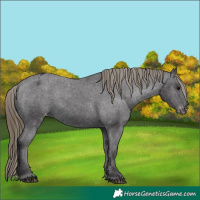 Horse Color:Smoky Black Varnish Rabicano 
