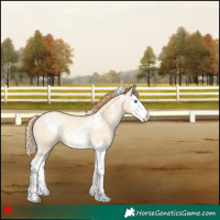 Horse Color:White Spotted Buckskin Pearl Dun Splash 