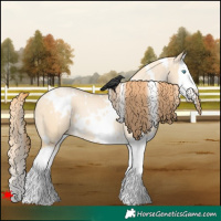 Horse Color:White Spotted Buckskin Pearl Dun Splash 