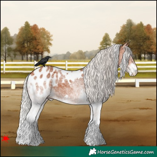 Horse Color:White Spotted Silver Bay Blanket 