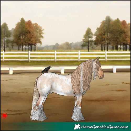 Horse Color:White Spotted Red Dun Roan Rabicano 