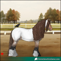 Horse Color:Bay Roan Dun Near Fewspot