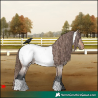 Horse Color:Bay Roan Dun Near Fewspot 